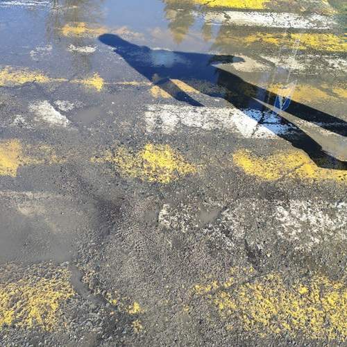 Photo #13476725
