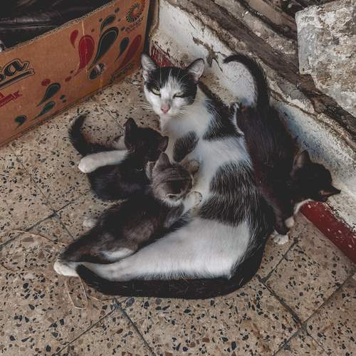 Photo #13476737