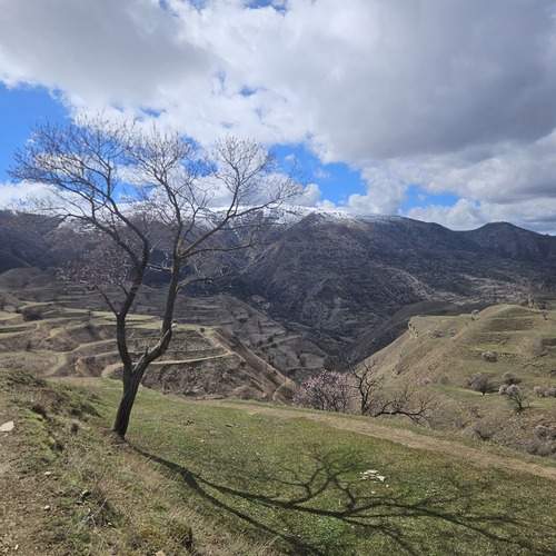 Photo #13476767