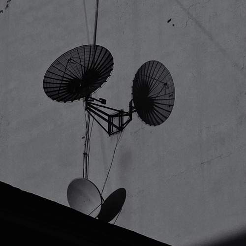 Photo #13476805