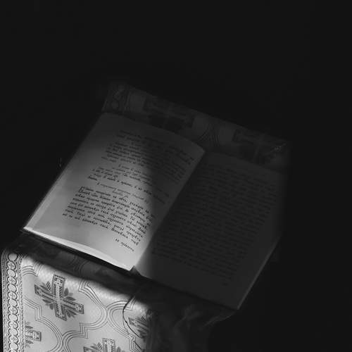 Photo #13476938