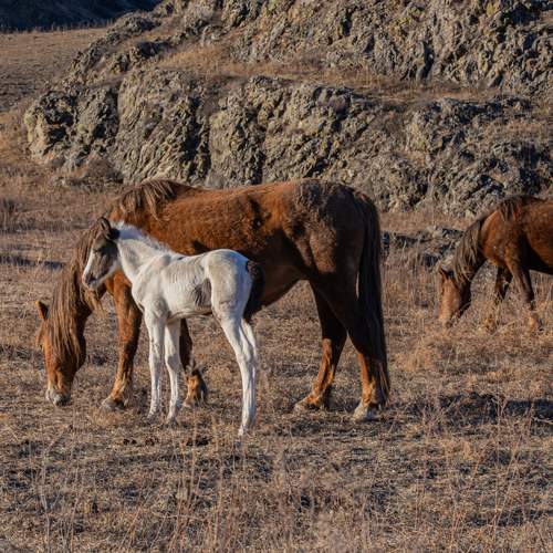 Фотография #13476974