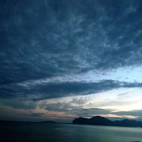 Photo #13476978