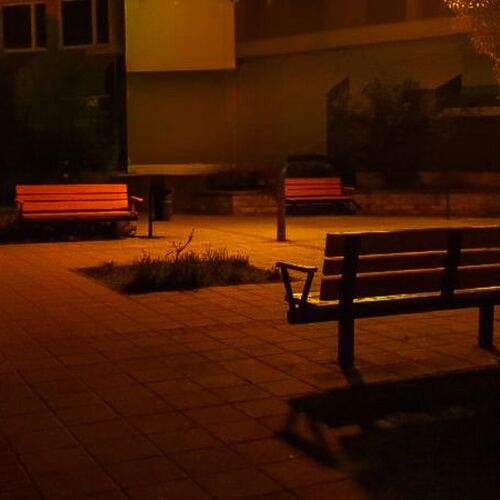 Photo #13477061