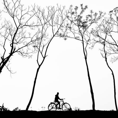 A journey through stillness.