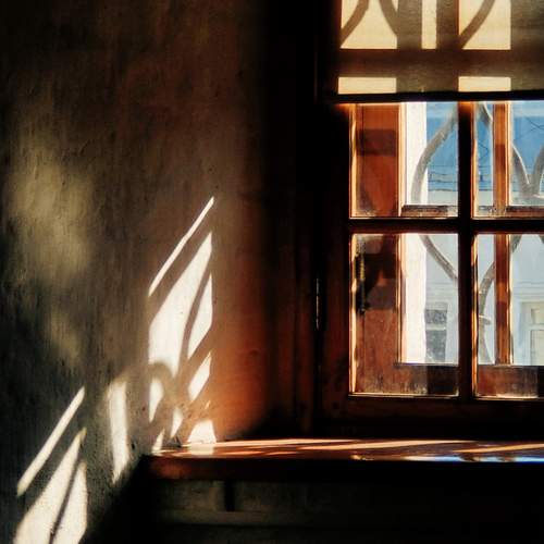 Photo #13477220