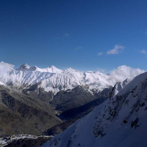 Photo #13477247