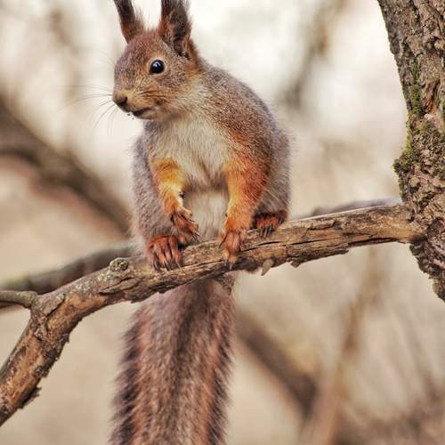 Photo #13477282