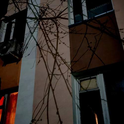 Photo #13477506