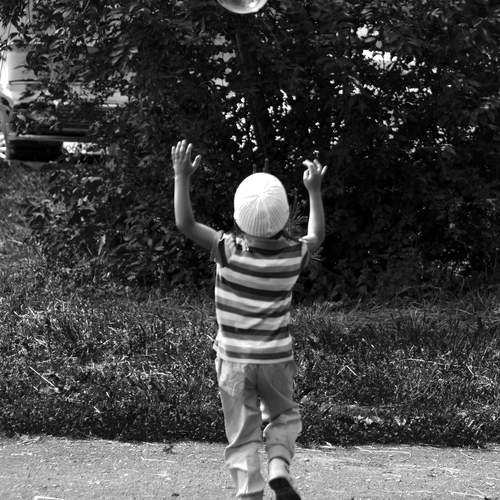 Photo #13477619