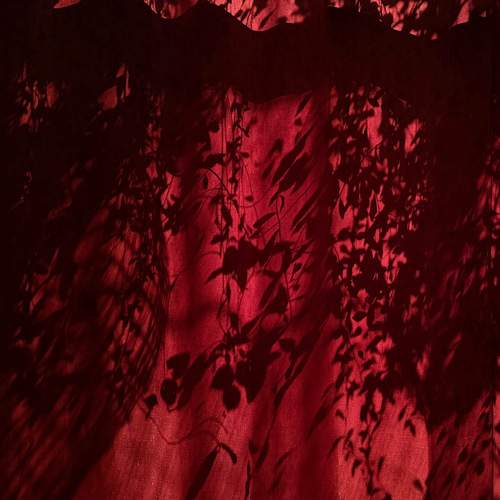 Photo #13477640