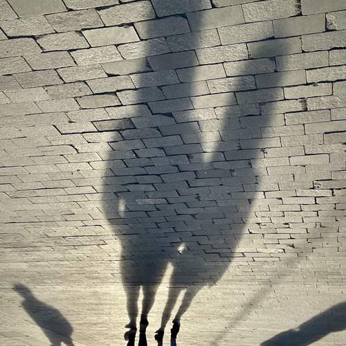Photo #13477684