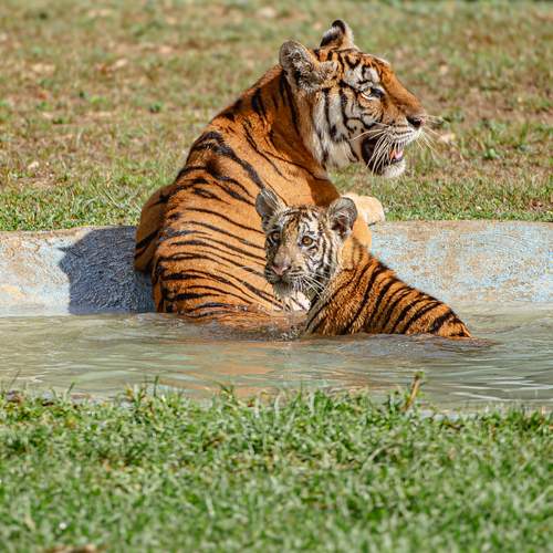 Photo #13477865
