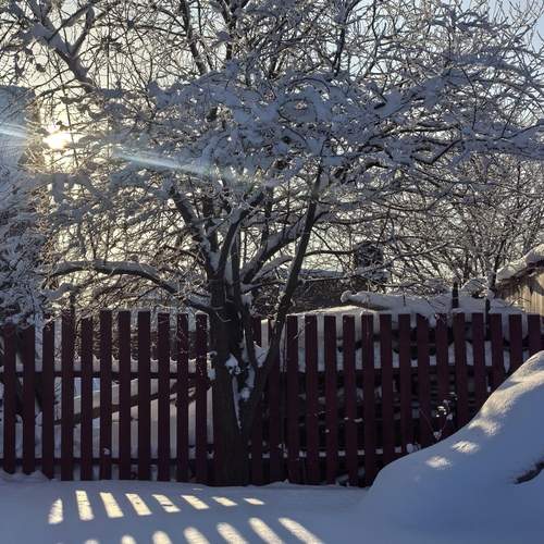 Photo #13478016