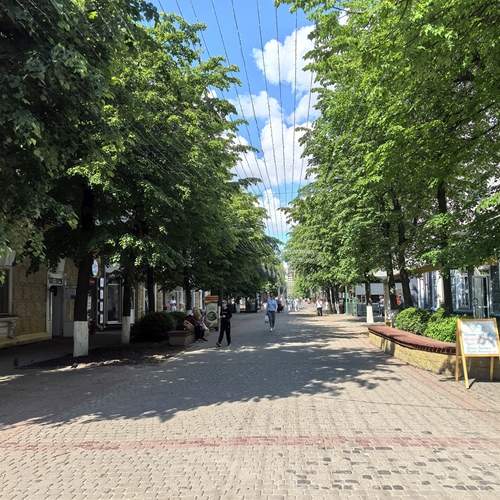 Photo #13478021