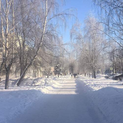 Photo #13478025