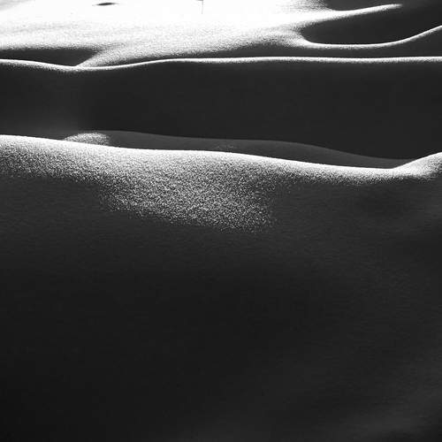 Photo #13478064