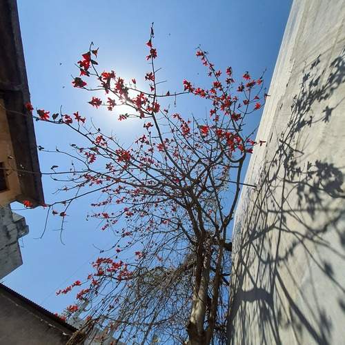 Photo #13478468