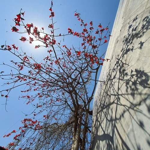 Photo #13478475