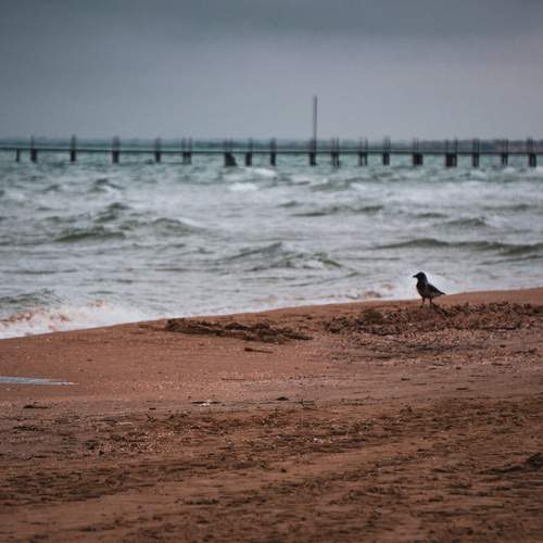 Photo #13478595