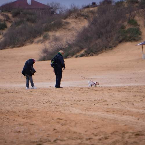 Photo #13478599