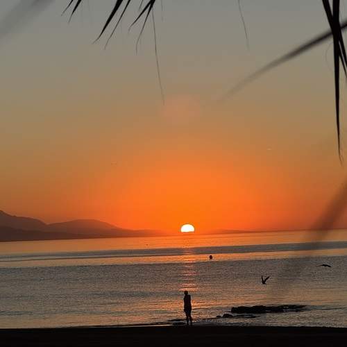 Photo #13478774