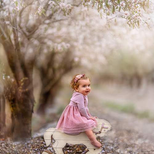 Photo #13478789