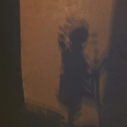 Photo #13478852