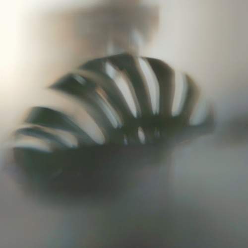 Photo #13478875