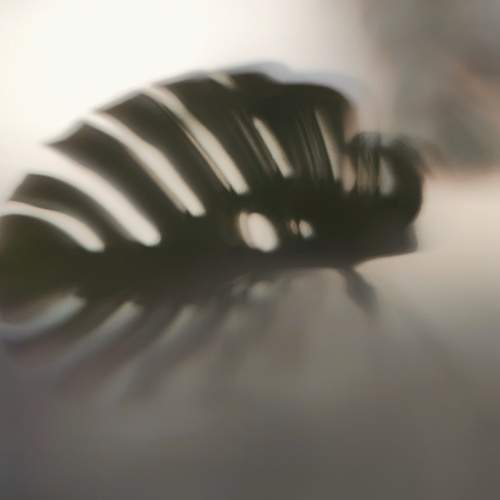 Photo #13478876