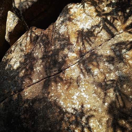 Photo #13478995