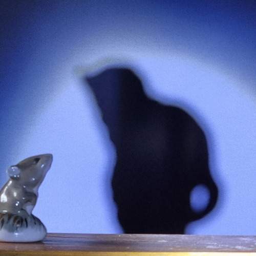 Фотография #13479033