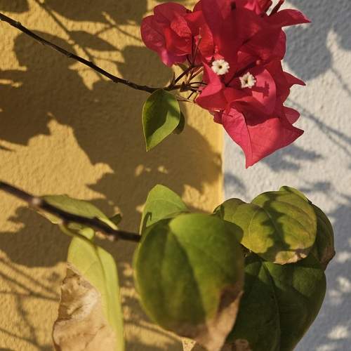 Photo #13479046