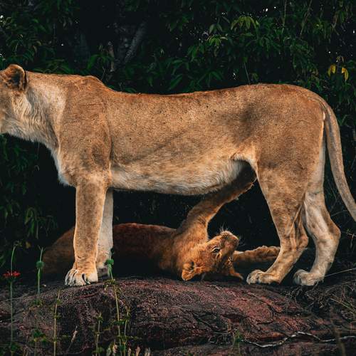 Photo #13479127