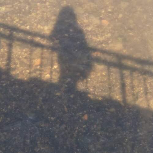 Photo #13479364