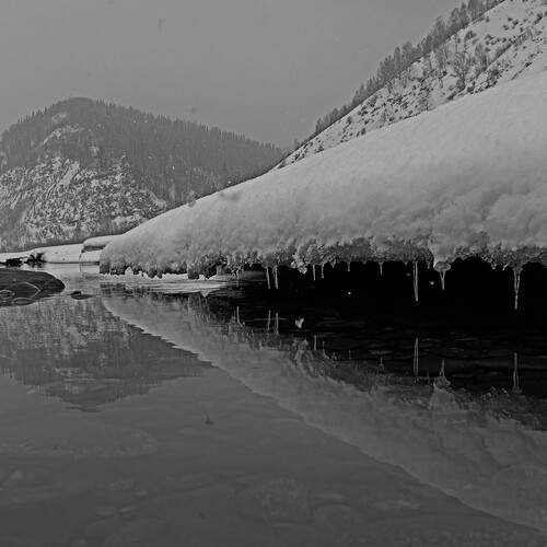 Фотография #13479453