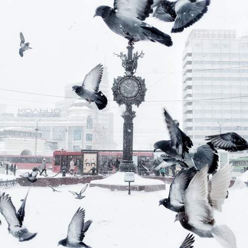 Photo #13479527
