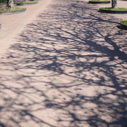 Photo #13479615