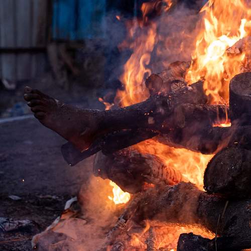 Photo #13479702