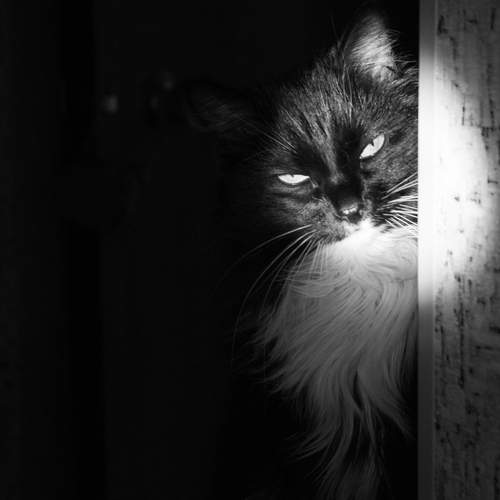 Photo #13479983