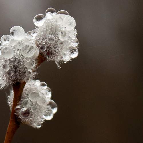 Photo #13480000
