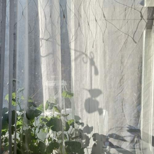 Photo #13480014