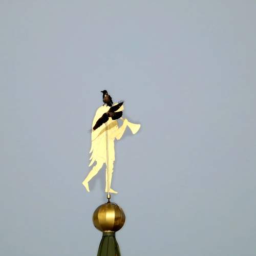 Photo #13480026