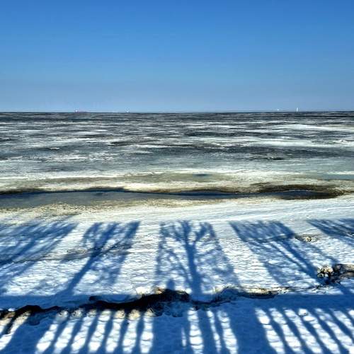 Photo #13480027