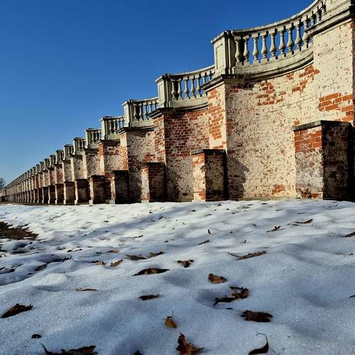 Photo #13480031