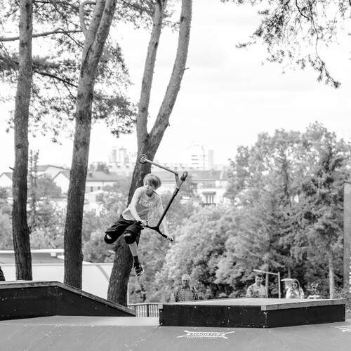 Photo #13480046