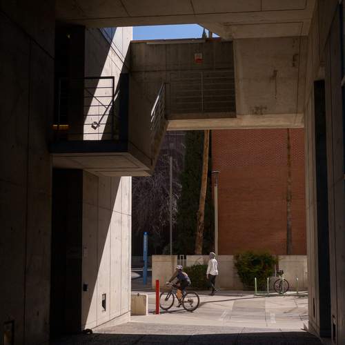 Photo #13480192