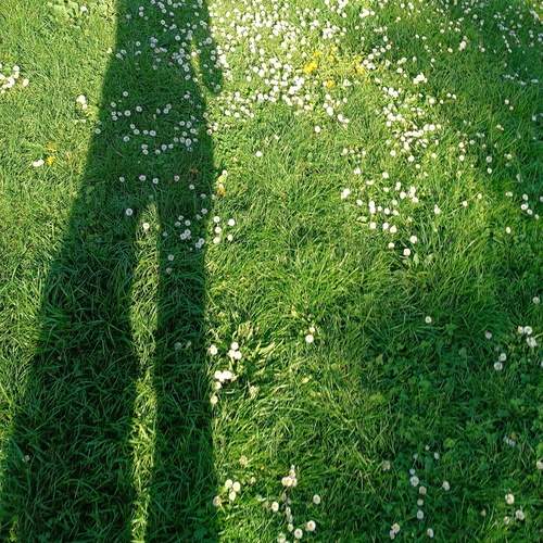 to look with your eyes