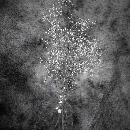 Photo #13480321
