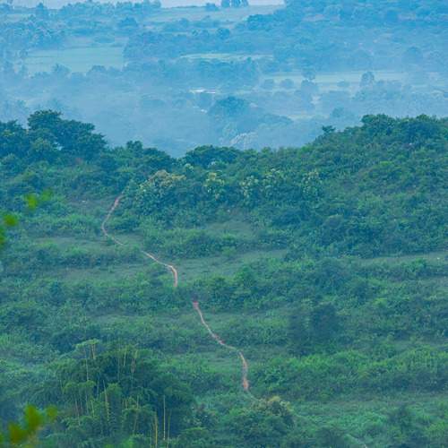 Photo #13480328